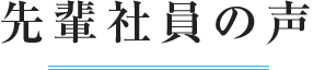 先輩社員の声
